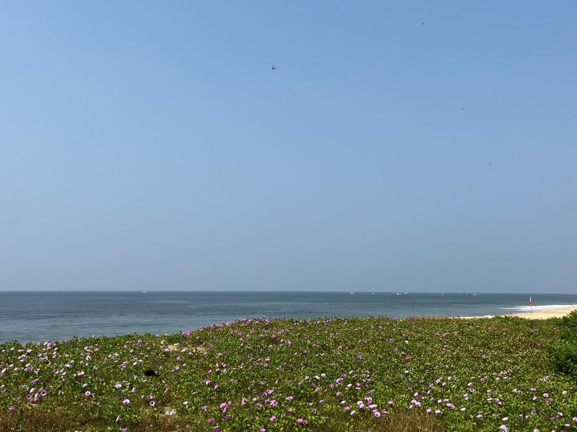 Coco Inn Goa Candolim Exterior foto